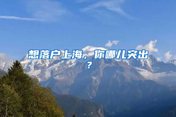 想落戶上海，你哪兒突出？