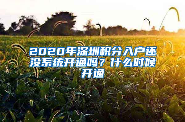 2020年深圳積分入戶還沒系統(tǒng)開通嗎？什么時候開通