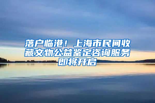 落戶臨港！上海市民間收藏文物公益鑒定咨詢服務(wù)即將開啟