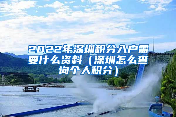 2022年深圳積分入戶需要什么資料（深圳怎么查詢個人積分）