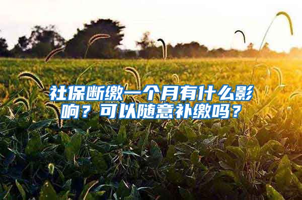 社保斷繳一個(gè)月有什么影響？可以隨意補(bǔ)繳嗎？