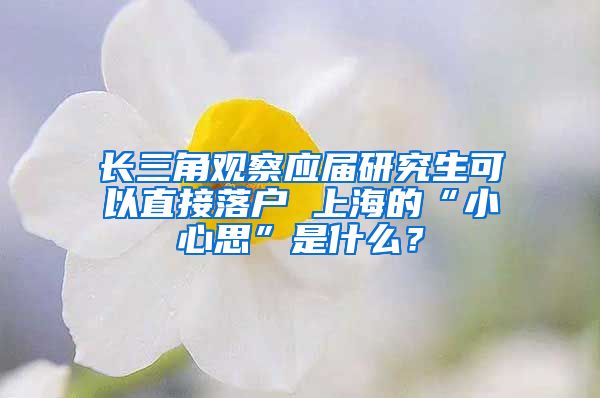 長三角觀察應(yīng)屆研究生可以直接落戶 上海的“小心思”是什么？