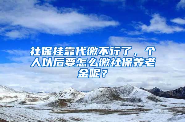 社保掛靠代繳不行了，個(gè)人以后要怎么繳社保養(yǎng)老金呢？