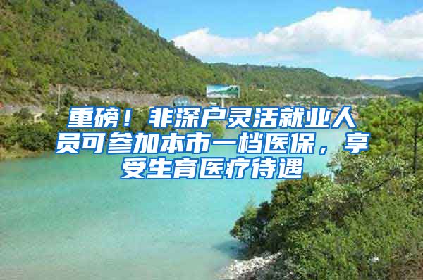 重磅！非深戶靈活就業(yè)人員可參加本市一檔醫(yī)保，享受生育醫(yī)療待遇