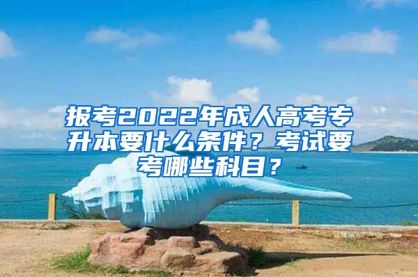 報考2022年成人高考專升本要什么條件？考試要考哪些科目？