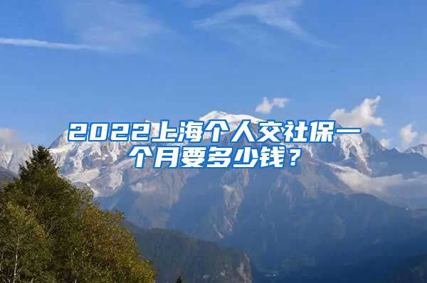 2022上海個(gè)人交社保一個(gè)月要多少錢(qián)？