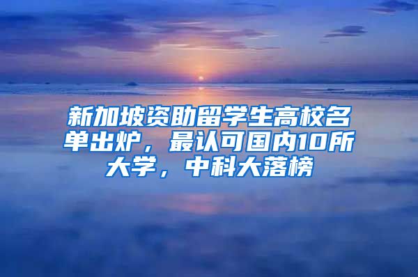 新加坡資助留學(xué)生高校名單出爐，最認(rèn)可國內(nèi)10所大學(xué)，中科大落榜