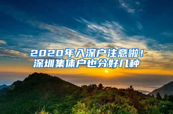 2020年入深戶注意啦！深圳集體戶也分好幾種