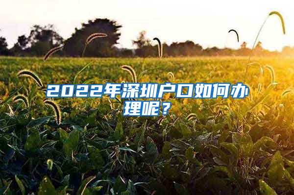 2022年深圳戶口如何辦理呢？