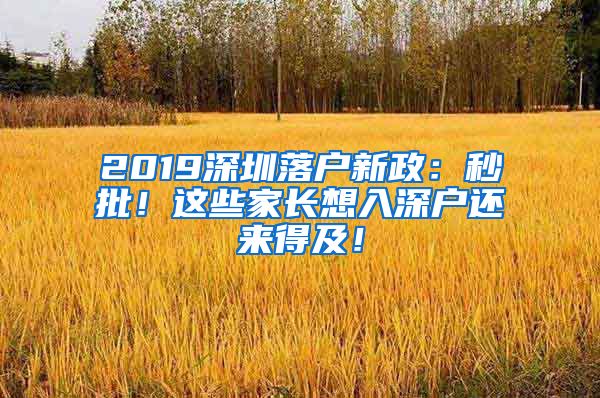 2019深圳落戶新政：秒批！這些家長想入深戶還來得及！