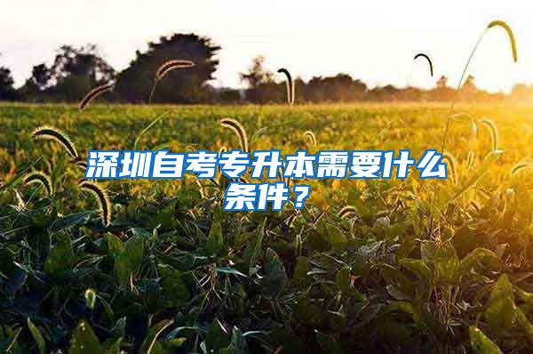 深圳自考專升本需要什么條件？