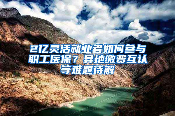 2億靈活就業(yè)者如何參與職工醫(yī)保？異地繳費互認(rèn)等難題待解