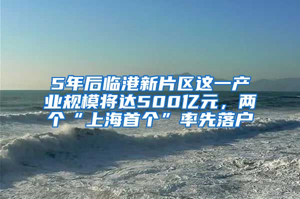 5年后臨港新片區(qū)這一產(chǎn)業(yè)規(guī)模將達500億元，兩個“上海首個”率先落戶