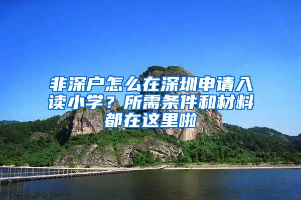 非深戶怎么在深圳申請入讀小學？所需條件和材料都在這里啦