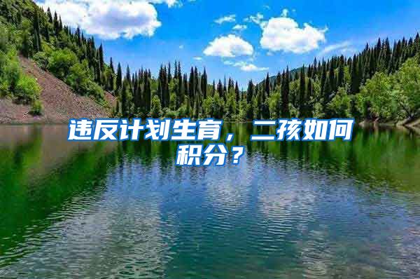 違反計劃生育，二孩如何積分？