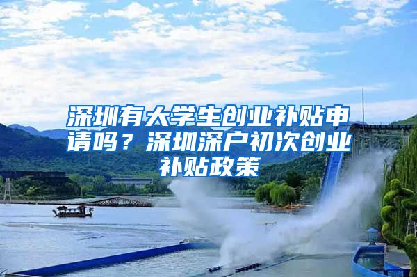 深圳有大學(xué)生創(chuàng)業(yè)補(bǔ)貼申請(qǐng)嗎？深圳深戶初次創(chuàng)業(yè)補(bǔ)貼政策