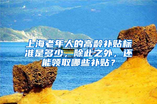 上海老年人的高齡補貼標準是多少，除此之外，還能領取哪些補貼？