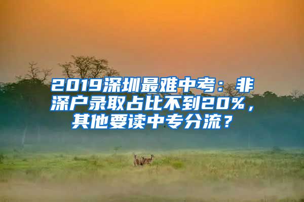 2019深圳最難中考：非深戶錄取占比不到20%，其他要讀中專分流？