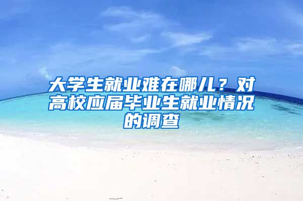 大學(xué)生就業(yè)難在哪兒？對高校應(yīng)屆畢業(yè)生就業(yè)情況的調(diào)查