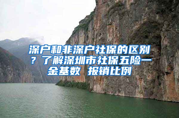 深戶和非深戶社保的區(qū)別？了解深圳市社保五險(xiǎn)一金基數(shù) 報(bào)銷比例