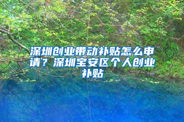 深圳創(chuàng)業(yè)帶動補貼怎么申請？深圳寶安區(qū)個人創(chuàng)業(yè)補貼