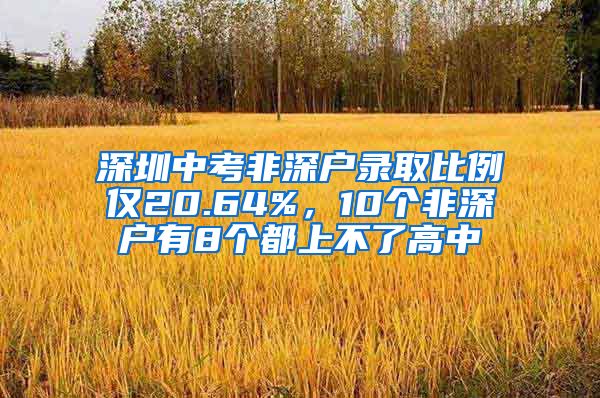 深圳中考非深戶錄取比例僅20.64%，10個(gè)非深戶有8個(gè)都上不了高中