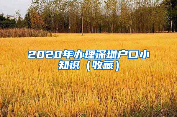 2020年辦理深圳戶口小知識(shí)（收藏）