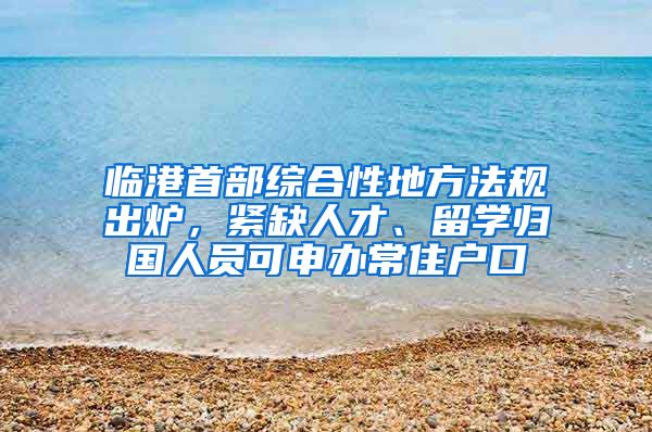 臨港首部綜合性地方法規(guī)出爐，緊缺人才、留學歸國人員可申辦常住戶口