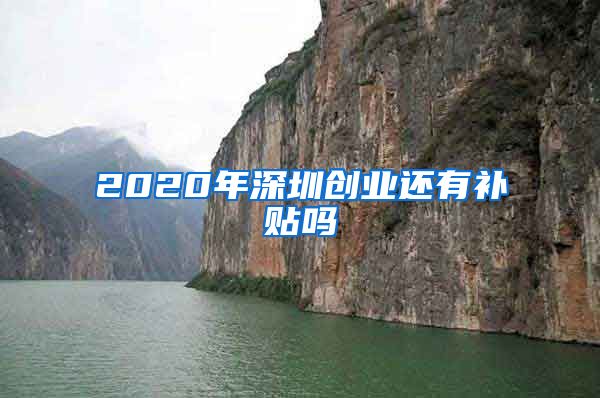 2020年深圳創(chuàng)業(yè)還有補(bǔ)貼嗎