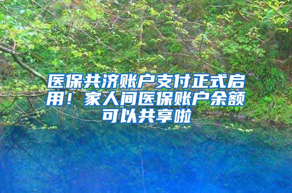 醫(yī)保共濟(jì)賬戶支付正式啟用！家人間醫(yī)保賬戶余額可以共享啦