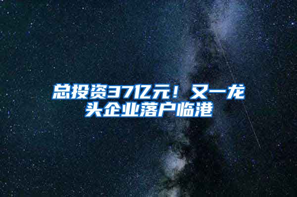 總投資37億元！又一龍頭企業(yè)落戶臨港