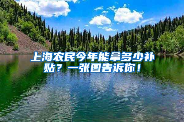 上海農(nóng)民今年能拿多少補貼？一張圖告訴你！