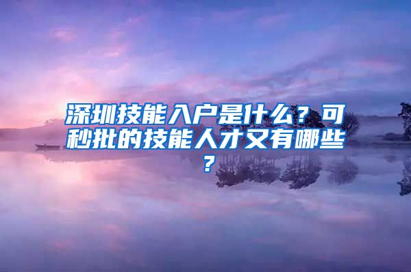 深圳技能入戶是什么？可秒批的技能人才又有哪些？