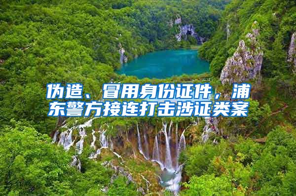 偽造、冒用身份證件，浦東警方接連打擊涉證類案