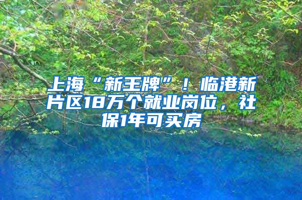 上?！靶峦跖啤?！臨港新片區(qū)18萬個就業(yè)崗位，社保1年可買房