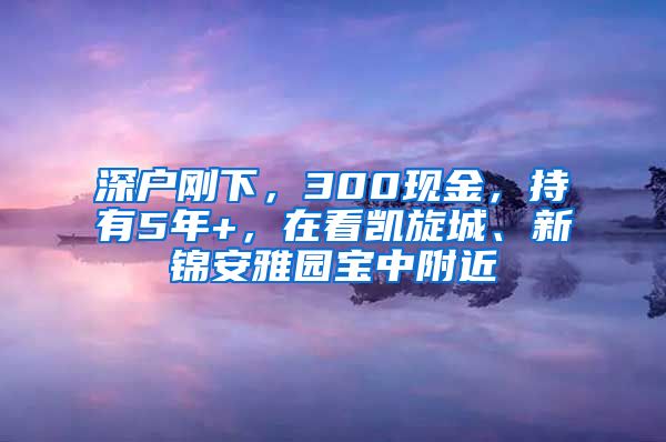 深戶(hù)剛下，300現(xiàn)金，持有5年+，在看凱旋城、新錦安雅園寶中附近