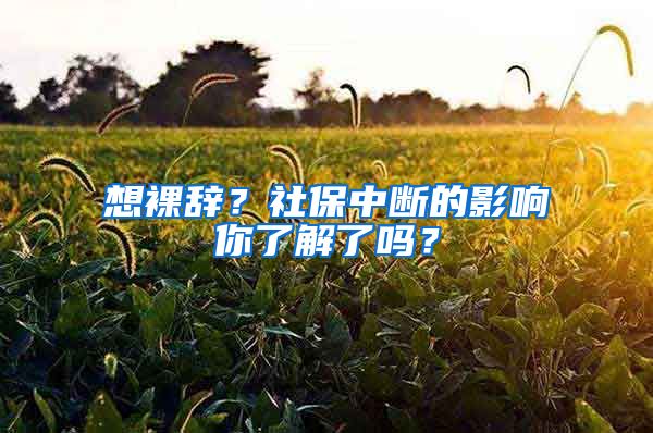 想裸辭？社保中斷的影響你了解了嗎？