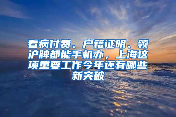 看病付費(fèi)、戶籍證明、領(lǐng)滬牌都能手機(jī)辦，上海這項(xiàng)重要工作今年還有哪些新突破