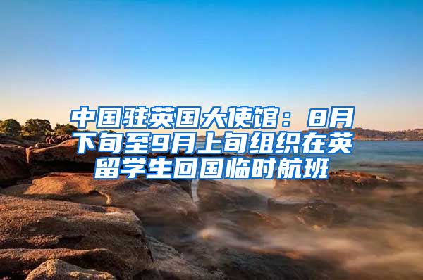 中國駐英國大使館：8月下旬至9月上旬組織在英留學生回國臨時航班