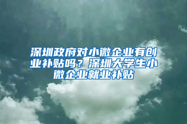 深圳政府對小微企業(yè)有創(chuàng)業(yè)補(bǔ)貼嗎？深圳大學(xué)生小微企業(yè)就業(yè)補(bǔ)貼