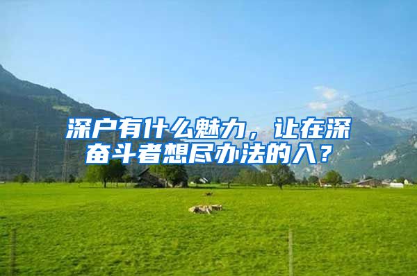 深戶有什么魅力，讓在深?yuàn)^斗者想盡辦法的入？