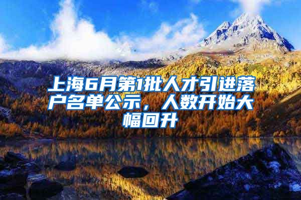 上海6月第1批人才引進(jìn)落戶(hù)名單公示，人數(shù)開(kāi)始大幅回升