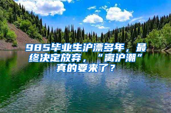 985畢業(yè)生滬漂多年，最終決定放棄，“離滬潮”真的要來了？