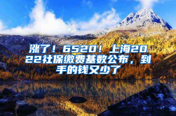 漲了！6520！上海2022社保繳費(fèi)基數(shù)公布，到手的錢又少了