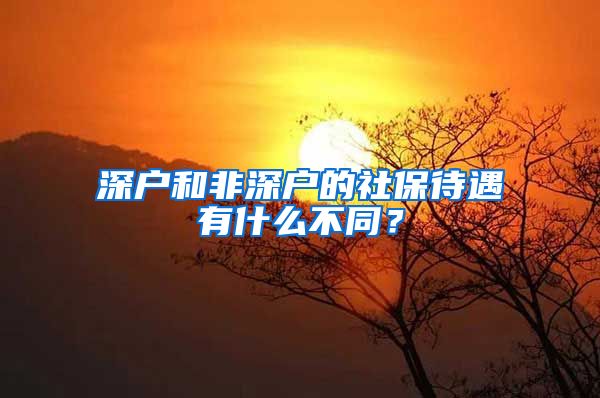 深戶和非深戶的社保待遇有什么不同？