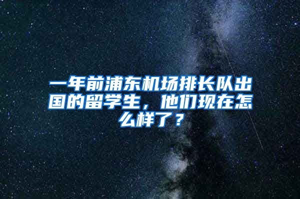 一年前浦東機場排長隊出國的留學生，他們現(xiàn)在怎么樣了？