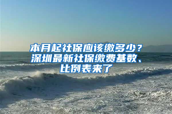 本月起社保應(yīng)該繳多少？深圳最新社保繳費(fèi)基數(shù)、比例表來了