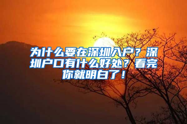 為什么要在深圳入戶？深圳戶口有什么好處？看完你就明白了！