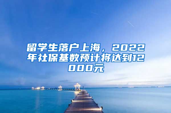 留學(xué)生落戶上海，2022年社?；鶖?shù)預(yù)計將達(dá)到12000元