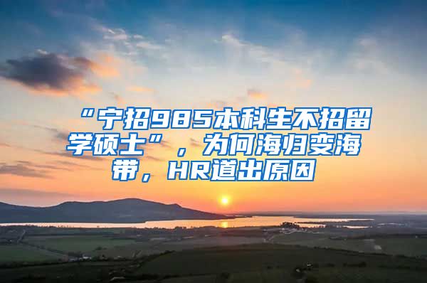 “寧招985本科生不招留學碩士”，為何海歸變海帶，HR道出原因